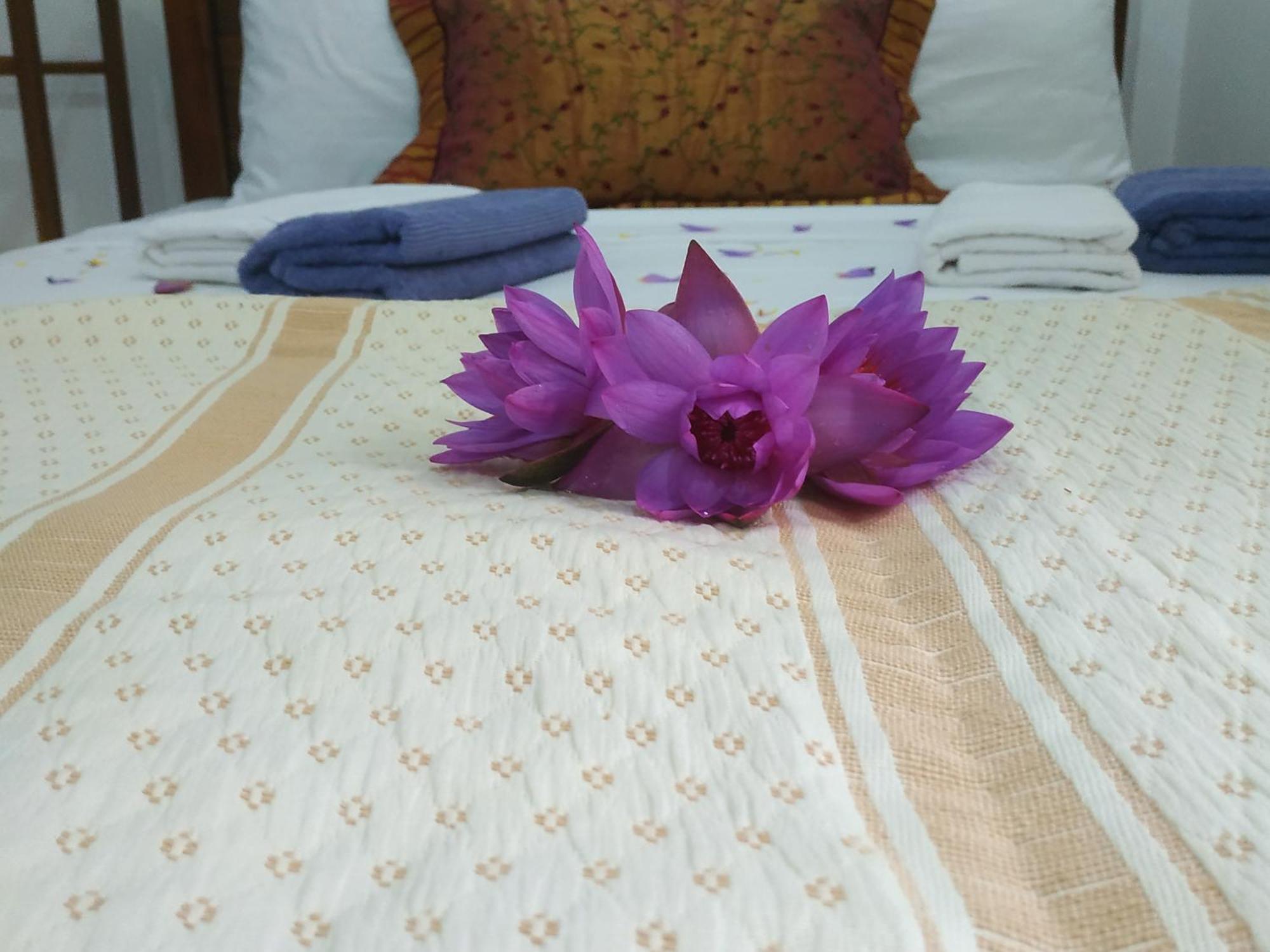 Four Seasons Safari Resort Udawalawa Udawalawe Buitenkant foto